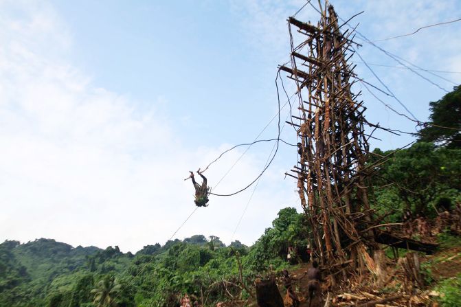 Diving boards are designed to snap and hinge downward to absorb much of the divers' G-force. The wood is freshly cut to ensure strength, while the vines are carefully measured and matched to the each diver's weight and height.