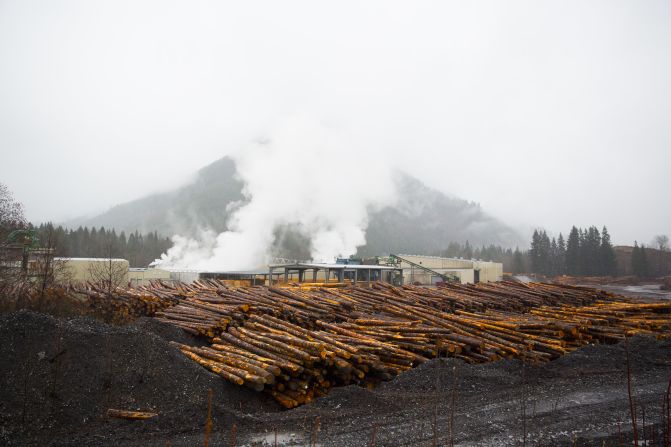 Timber is seen at a lumberyard just outside of Darrington on Saturday.