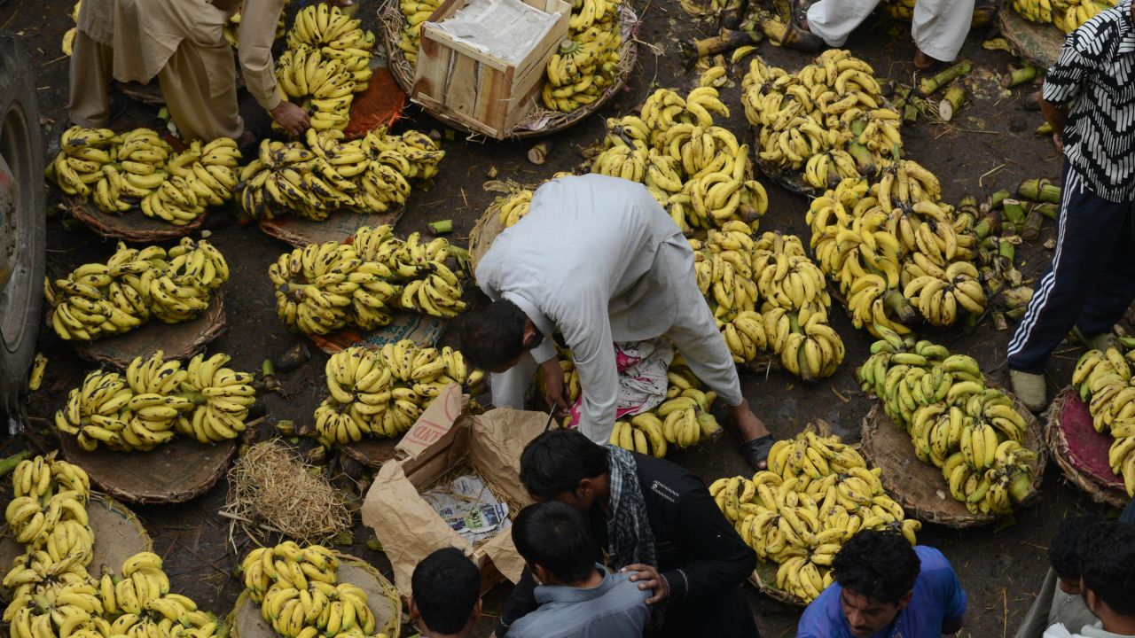 Pollen allergies? Watch out for these foods CNN