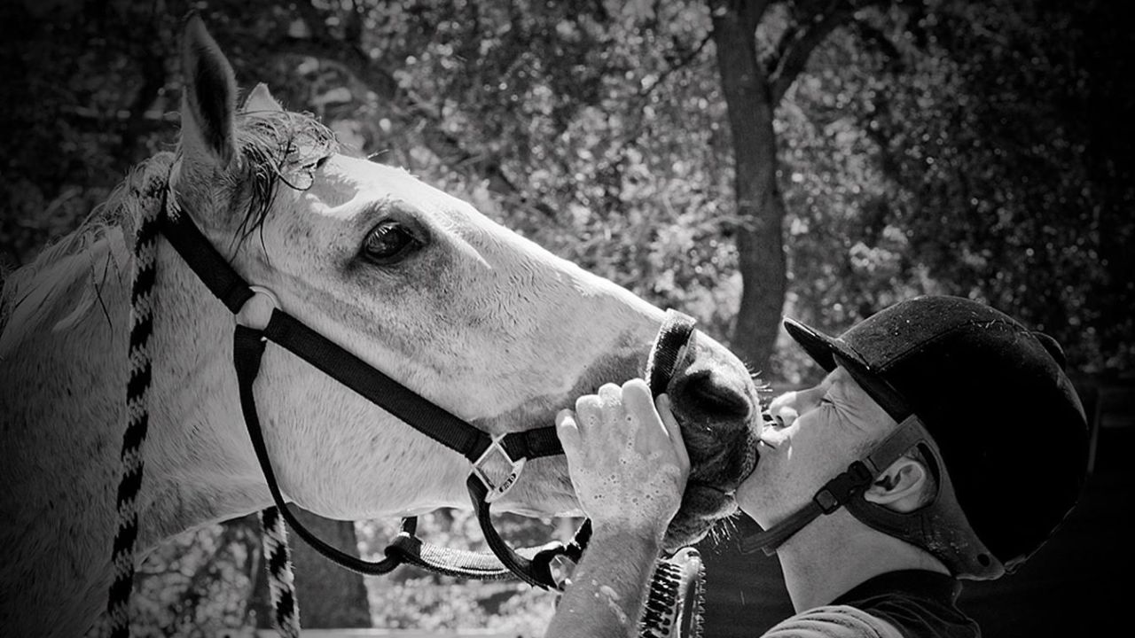 Allen "Skip" Haughay Jr. died while riding his horse Regal Bull. They were struck by a pickup near his California farm.