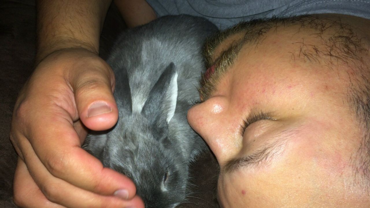 Mitchell Casado snuggles with his rescue rabbit, Buddy.