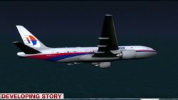 tsr robertson dnt malaysia airliner criminal act_00002301.jpg