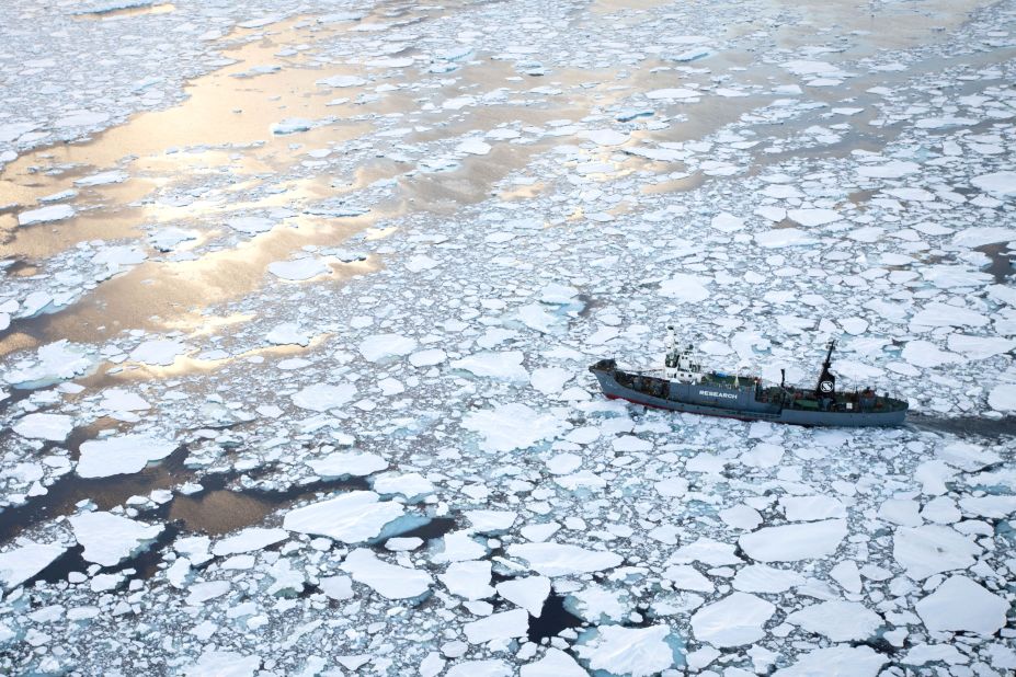 The Japanese whaling ship Yushin Maru No. 1 cuts through the ice flows in the Southern Ocean in Antarctica on January 25, 2011. Japan has hunted for whales extensively in the Southern Ocean, which includes a whale sanctuary.