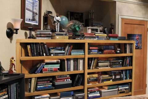 Leonard and Sheldon's apartment is filled to the brim with books, including textbooks, one of which belongs to real-life neuroscientist and cast member Bialik.