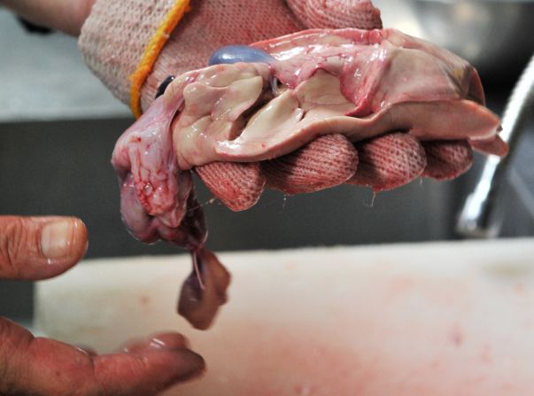 At his restaurant Torafugu-tei in Tokyo, chef Suzuki displays a puffer fish liver, which contains enough neurotoxin to kill several men. Each year in Japan people end up in the hospital after eating puffer fish -- some don't survive. 