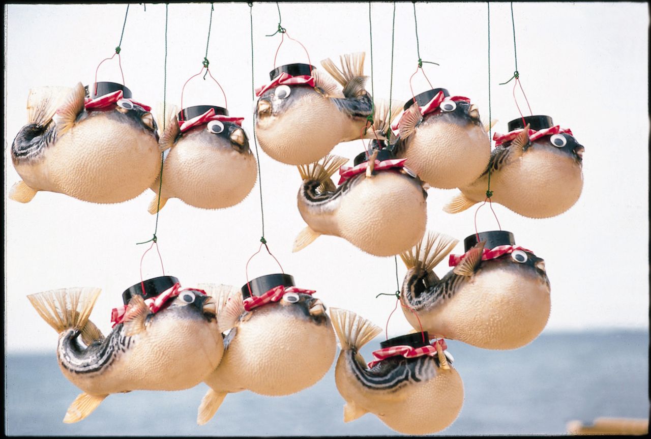 A row of puffer fish lanterns, made with actual fugu skins, hangs from a stall in Shimonoseki.  