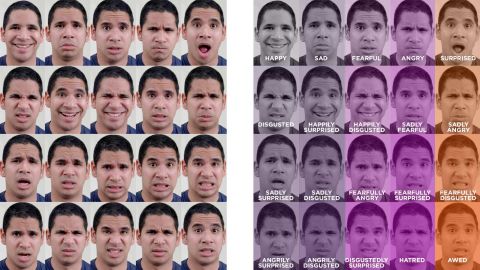 Scientists have identified 15 new emotions such as "sadly surprised."