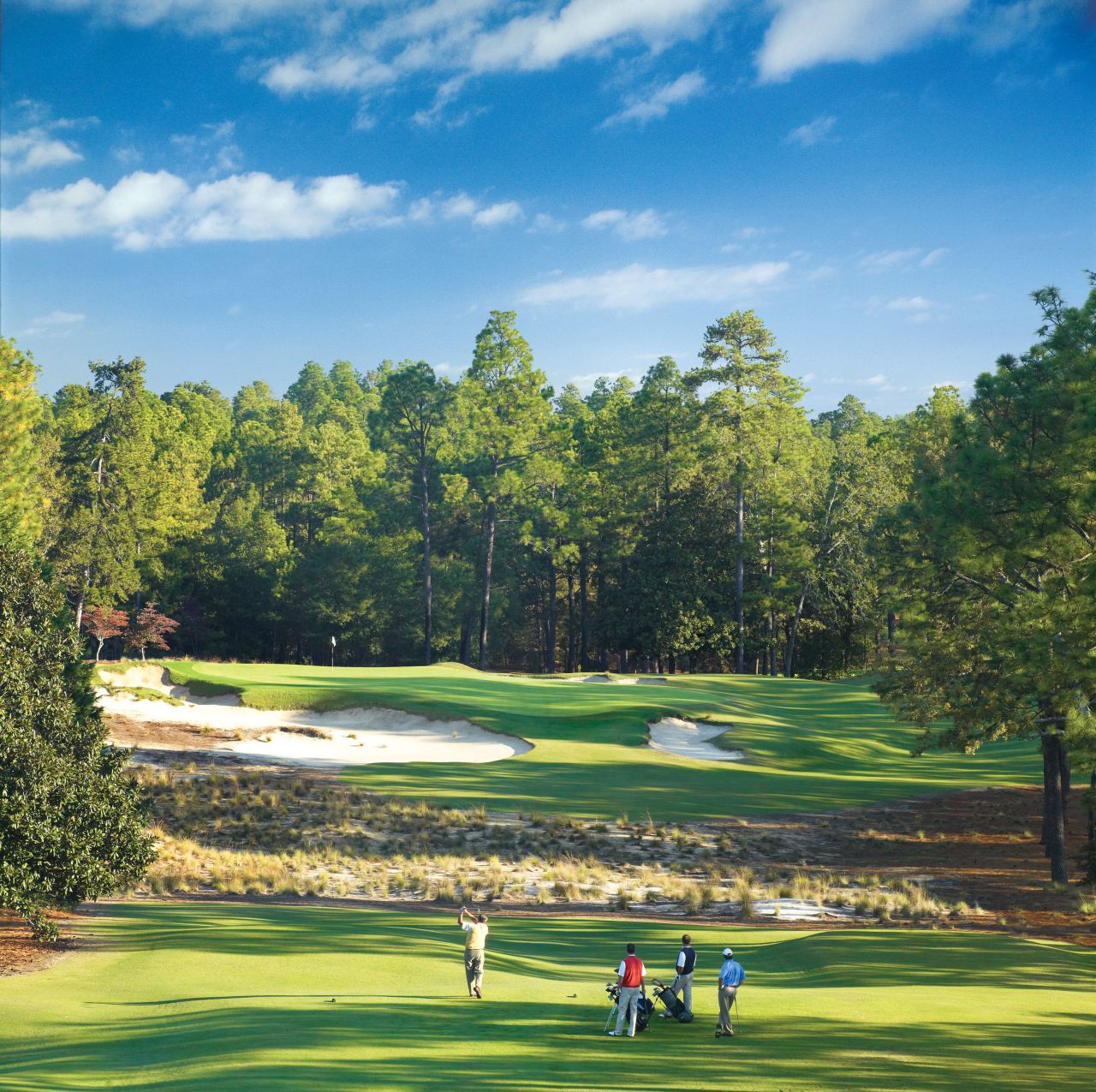 The Pinehurst Resort has eight courses, four designed by Donald Ross, including the legendary No. 2 course, which has hosted one Ryder Cup, one PGA Championship and two U.S. Opens.