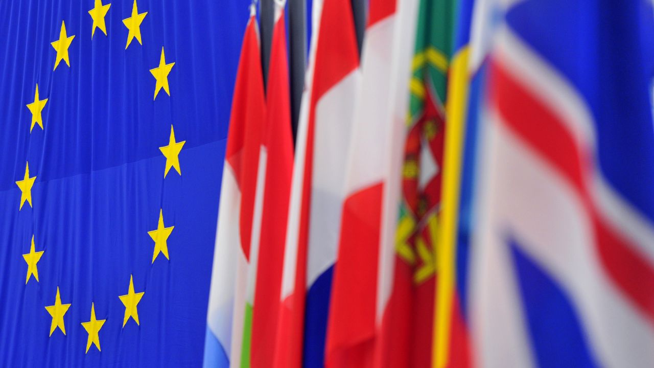 The European Union flag is seen next to flags of member nations at the European Parliament in Strasbourg, France.