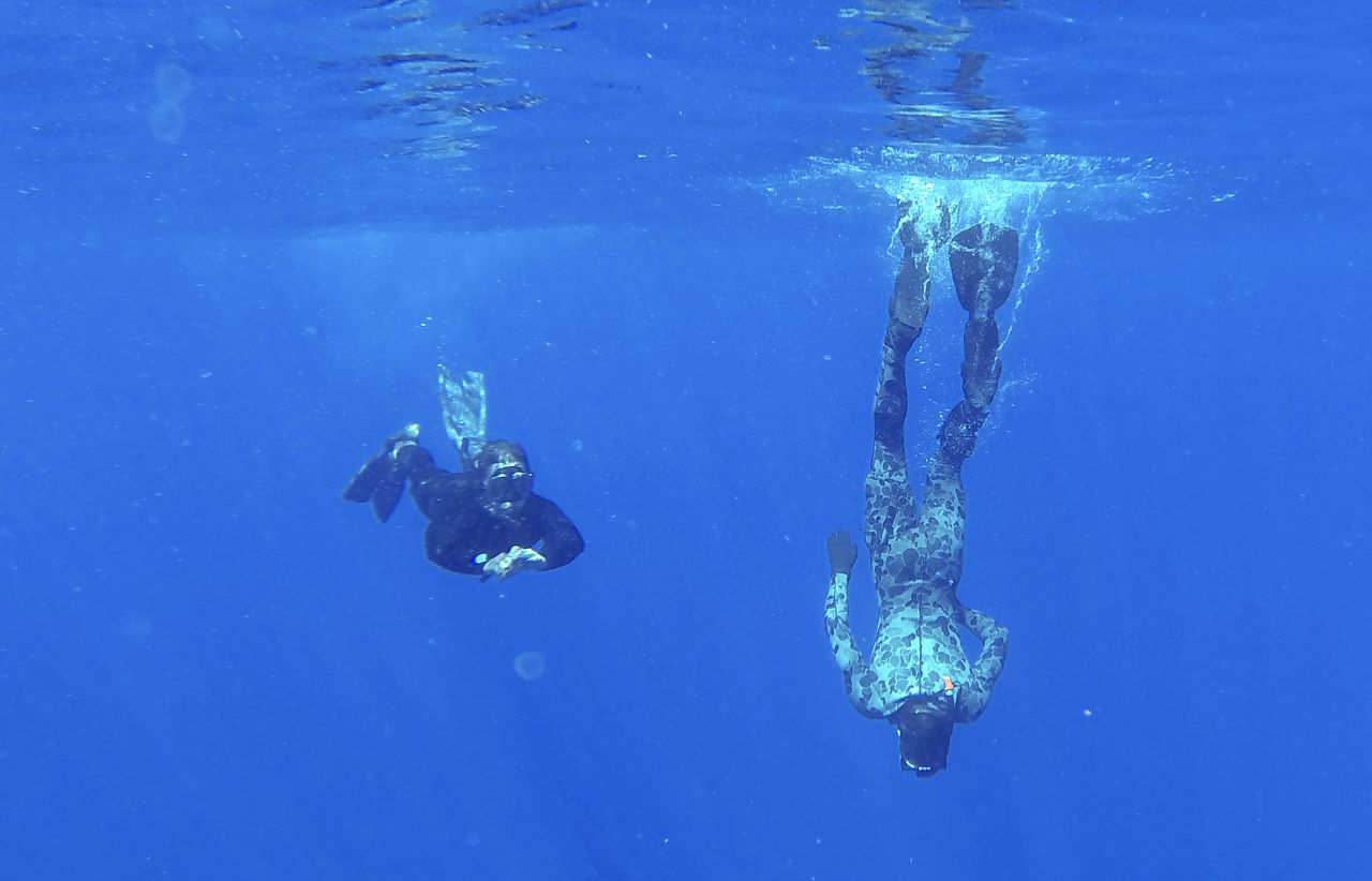 Australian Defense Force divers scan the water for debris in the southern Indian Ocean on April 7, 2014.