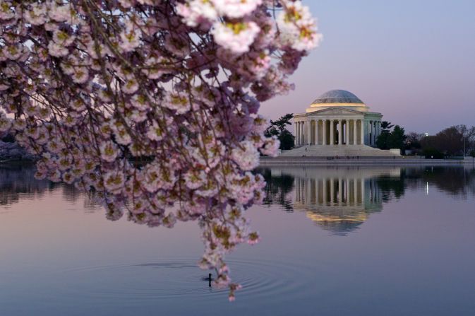 Cherry trees and the Thomas Jefferson Memorial are seen in Washington as the sun rises on Thursday, April 10.