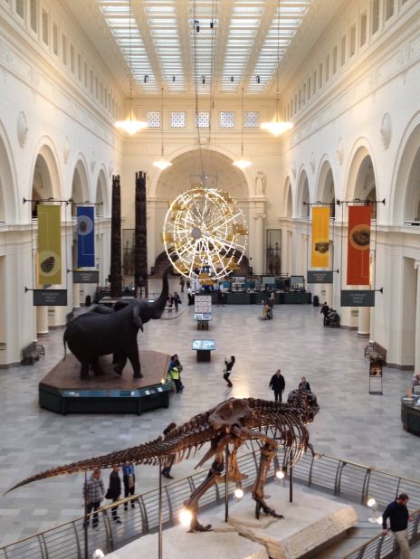 The Field Museum holds a special place in Sridhara's heart because it's where her fiance proposed. Click the double arrow to see more photos.