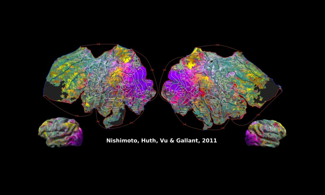 In this illustration, where there are similar colors, those brain regions respond similarly to movie clips, Jack Gallant's lab showed.  