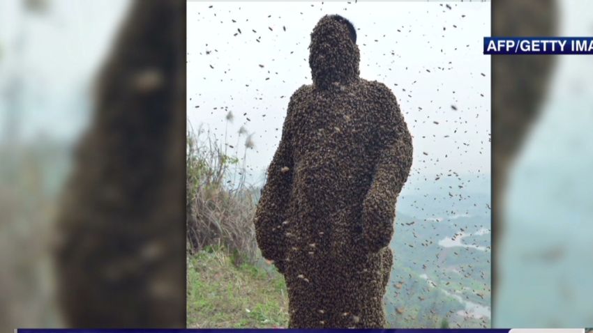 cnni vo china man covered in bees _00002324.jpg
