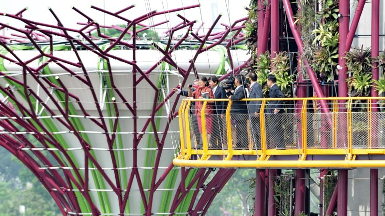 Dignitaries such as Thailand's Princess Maha Chakri Sirindhorn, center, have visited the tree grove. The plants growing on the trees are color coordinated. Some towers are immersed in browns, oranges, reds or yellows, while others favor cooler hues like pink or silver. 