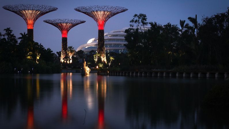 When night falls, the lights go up. The treetops are transformed into eye-catching beacons that shine across Singapore's landscape. Visitors are treated to two shows per night which synchronize the lights with custom composed music.