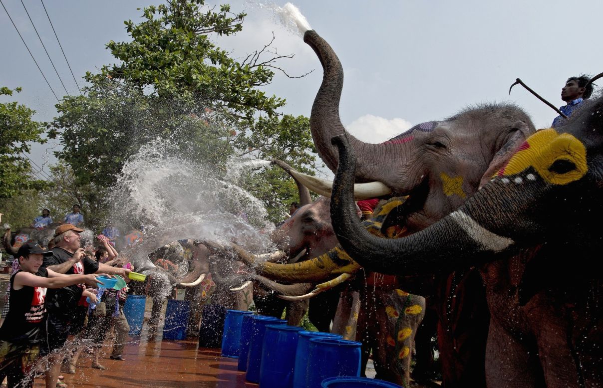Hardly a fair fight. Tourists take on a row of elephants in Thailand's Ayutthaya province. 