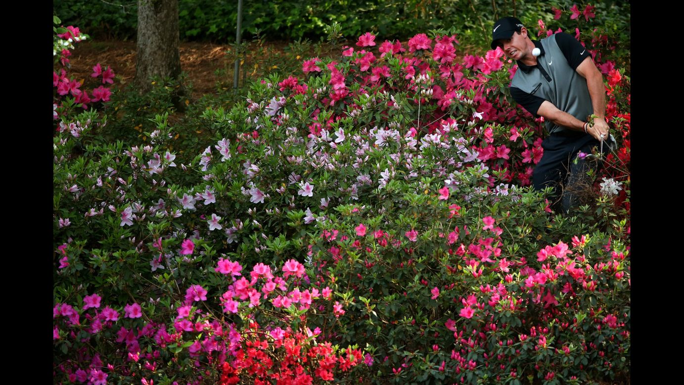 Pro golfer Rory McIlroy hits a shot out of azalea bushes during the second round of the Masters tournament on Friday, April 11. McIlroy, a two-time major winner, finished tied for eighth.