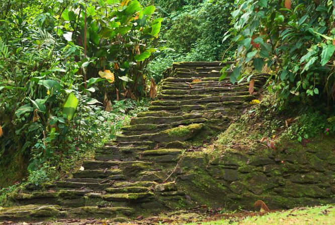 These old stone stairs are part of the <a href="http://globalheritagefund.org/what_we_do/overview/current_projects/ciudad_perdida_colombia" target="_blank" target="_blank">Ciudad Perdida</a> (the Lost City) in Colombia's Sierra Nevada de Santa Marta, a UNESCO-designated biosphere reserve. The Tayrona Indians built some 200 structures throughout the Lost City between about the third and 17th centuries. The structures were discovered in the 1970s. 