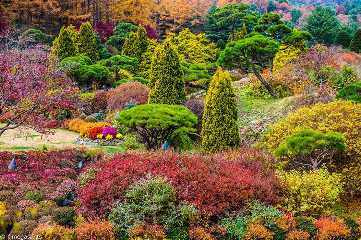 <strong>Garden of Morning Calm</strong><br /><br />This 30,000-square-meter flower garden in Gapyeong, Gyeonggi Province, takes its name from a poem about Korea written by Indian poet Sir Tagore. <br /><br />Conceptualized by a university professor who wanted to make a Korean garden beautiful enough to become world famous, this private garden has 20 themed sections and houses 5,000 varieties of plants. <br /><br />The best times to visit are March to November, when the flowers are in bloom. Macbeth Omega took this photo in the fall. 