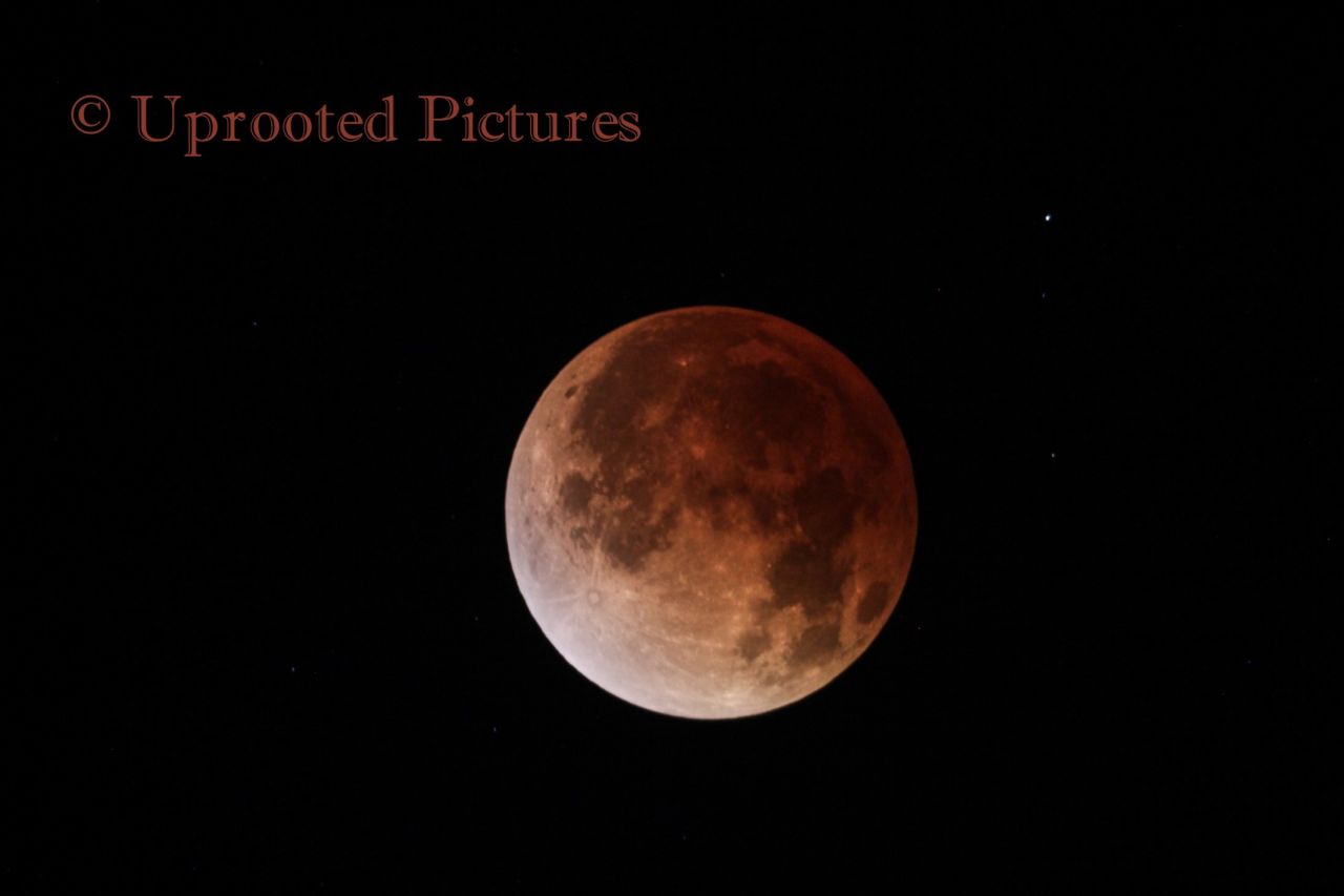 Jeffrey Root tomó esta foto de la luna de sangre del 15 de abril a través de un telescopio en Salt Lake City. 