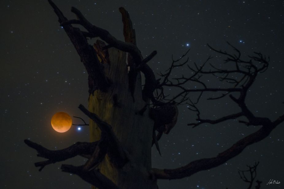 <a href="http://ireport.cnn.com/docs/DOC-1120903">Abe Blair</a> says it was cloudy when he got up to take pictures of the blood moon, but he decided to try anyway. "I am glad I trusted my gut feeling," he said. Blair had picked this tree out earlier in the day, but he had to hike for about 15 minutes in the dark to get there. He shot a two-second exposure for the moon and a 20-second exposure of the tree, and then combined the images in Photoshop.
