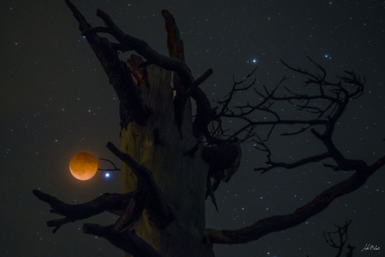 Abe Blair dice que estaba nublado cuando subió a tomar fotos de la luna de sangre, pero decidió intentarlo de todos modos. "Me alegra haber confiado en mi instinto", dijo. Blair había elegido este árbol más temprano ese día, pero había tratado de caminar durante más o menos 15 minutos en la oscuridad para llegar ahí. Él tomó una exposición de dos segundos de la luna y una exposición de 20 segundos del árbol, y luego combinó las imágenes utilizando Photoshop.