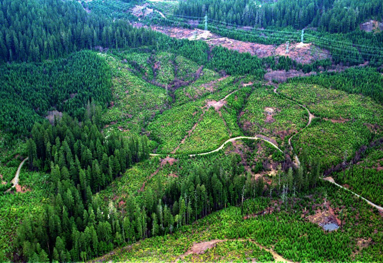 Logging roads wind through sections of clear-cut timber in the Mt. Hood National Forest, east of Portland, Oregon, another state where a majority of its land is public.
