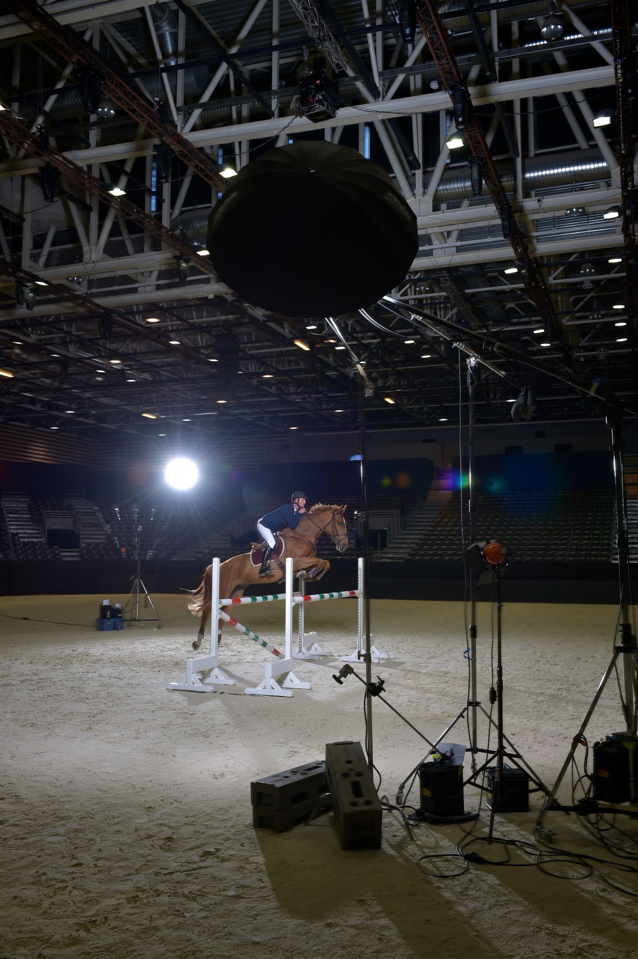 The FEI's Director of Dressage, Trond Asmyr, hoped to create images which would help newcomers to equestrian sport to understand ballet's similarity to dressage, as well as jumping.