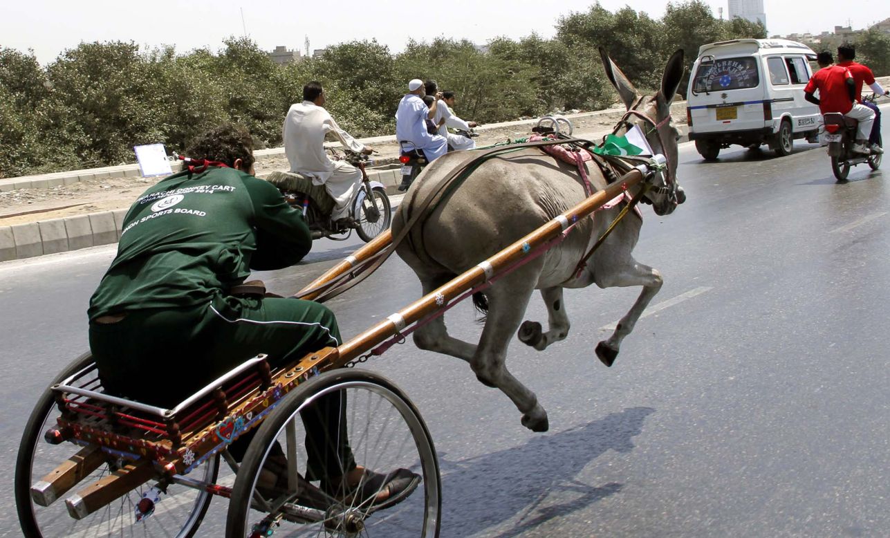 A donkey-cart rider in Karachi, Pakistan, competes in a race on Sunday, April 13.