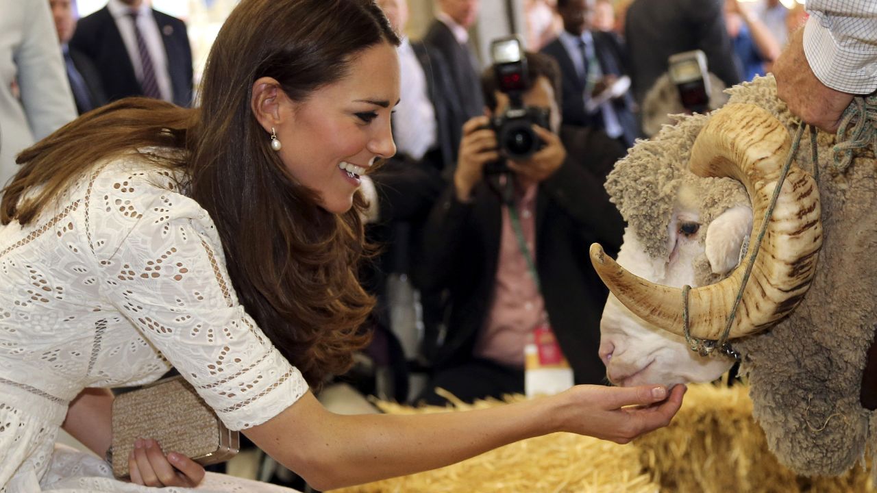 The duchess pets Fred the Merino Ram during a visit to the Royal Easter Show in Sydney on April 18.