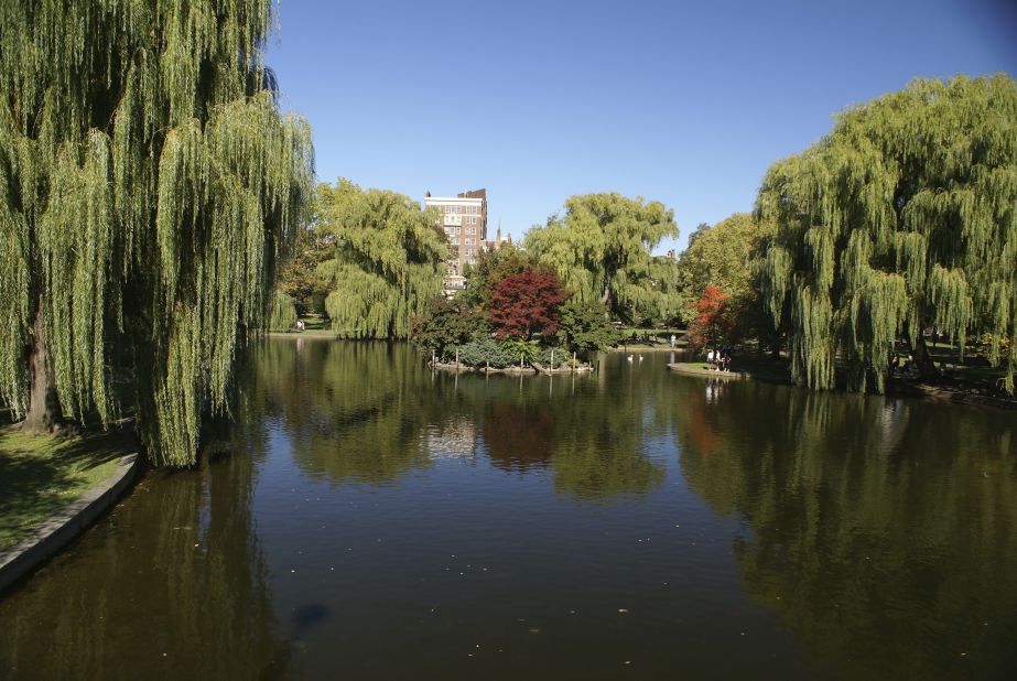 A string of parks called the Emerald Necklace begins at Boston Common in the heart of downtown.