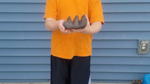 Philip Stoll told CNN he always thought he might want to be a paleontologist.