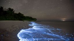 Image #: 17486669    VAADHOO ISLAND, MALDIVES - UNDATED: Bioluminescence from glowing plankton in the tide line wash onto the beach, with stars above and a ships lights on the horizon in the Indian Ocean on Vaadhoo Island, Raa Atoll, Maldives.  A GLOWING shore line looks more like a galax-sea than an Earth-sea. Taken in the Maldives this lit-up beach is brighter than the milky way thanks to the tiny creatures that live inside the sea water. Caused by an effect called ‚Äòbio-luminescence‚Äô microscopic organism reacted with oxygen in the water to produce light. This natural wonder is hardly ever seen on the shoreline. Although this phenomenon is rare, it is more commonly seen in the open sea by the wake of ships stirring up the oxygen in the sea, which causes the special bio-luminescent bacteria to glow. Photographer, Doug Perrine took the picture while visiting the Maldives in the Indian Ocean.   Doug Perrine/Barcroft Media /Landov
