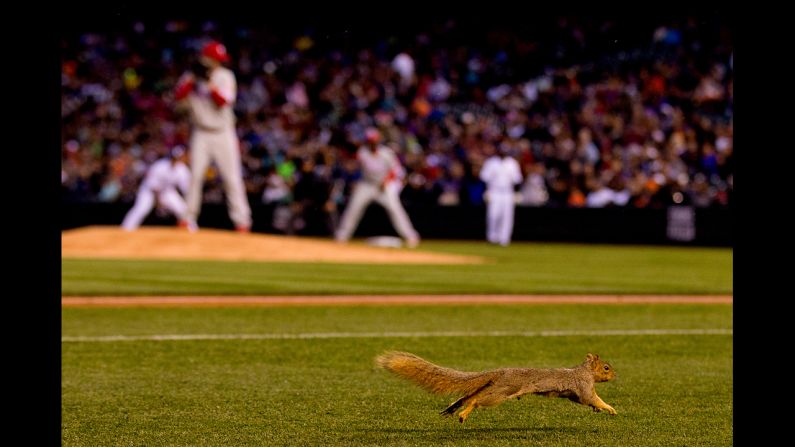 A squirrel runs on the infield during the fourth inning of a game between the Philadelphia Phillies and the Colorado Rockies on April 19 at Coors Field in Denver.
