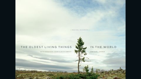 Rachel Sussman's new book, "The Oldest Living Things in the World."
