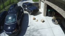 dnt ky postal worker throws packages on ground_00011813.jpg