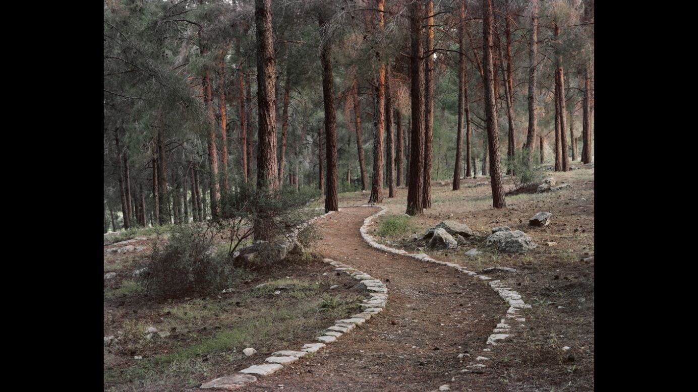 Greenberg's landscapes offer a quiet look at a country that is constantly in conflict.