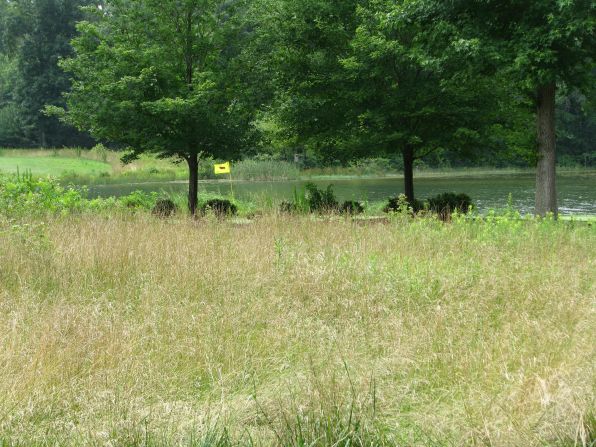 In addition to measures that protect wildlife populations, Carter has overseen a program which has reduced the amount of mowing and water use. He estimates that in the last decade, the course has returned 50 acres to a more natural state, saving over seven million gallons of water annually.  