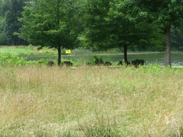 In addition to measures that protect wildlife populations, Carter has overseen a program which has reduced the amount of mowing and water use. He estimates that in the last decade, the course has returned 50 acres to a more natural state, saving over seven million gallons of water annually.