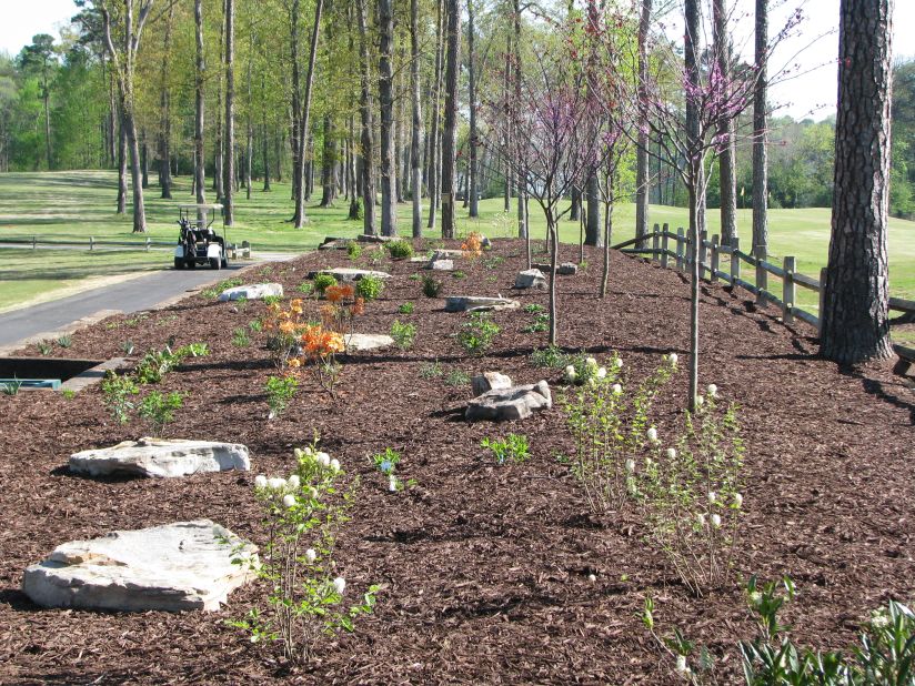 The club has also introduced native planting beds. Carter has been recognized for his environmental efforts with several awards in recent years, including the 2013 Environmental Leaders in Golf Award. <br />