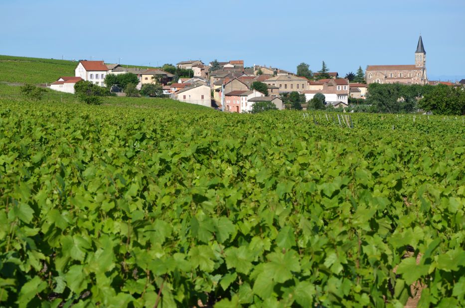 Lyon is the gateway to the Beaujolais viticultural region, which fans out immediately to the northwest. 