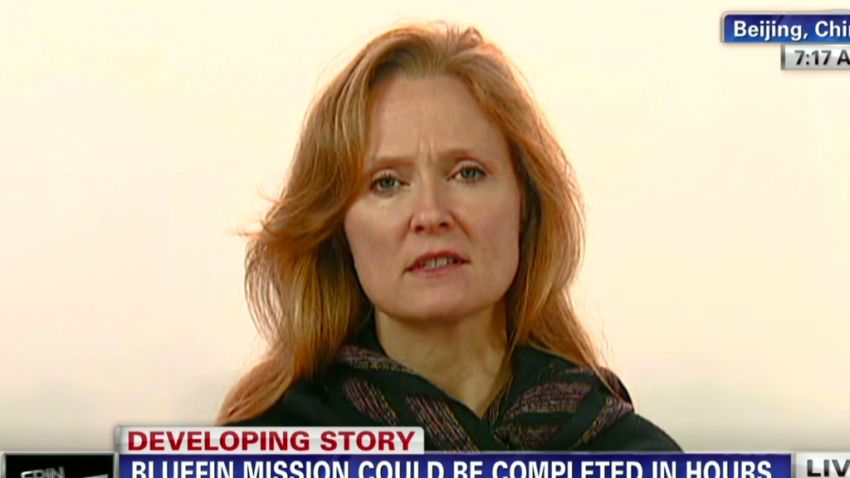 exp erin intv bajc malaysia airlines plane bluefin search _00024018.jpg