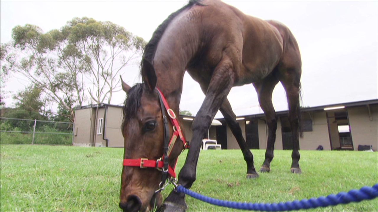 spc winning post ques rags to riches_00000000.jpg