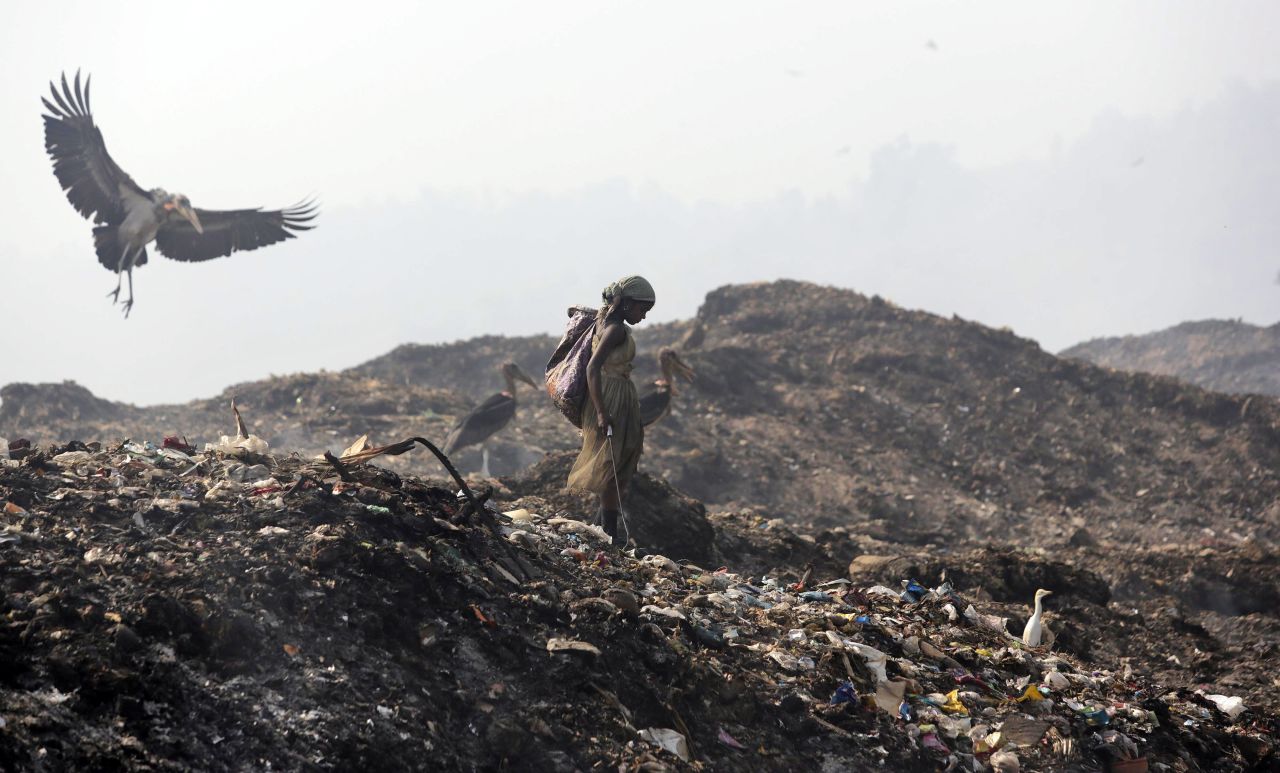 On Earth Day, a greater adjutant stork flies by a picker looking for recyclable items at a garbage dump on the outskirts of Gawuhati, India, on Tuesday, April 22. 