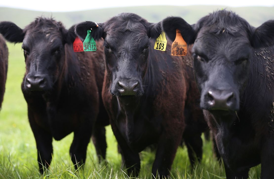 Research shows that conventional methods of raising beef are environmentally harmful.