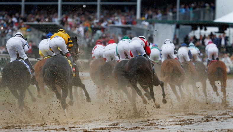 This year's favorite when they enter the first turn is California Chrome, a horse that cost its owners a mere $10,000 to breed.