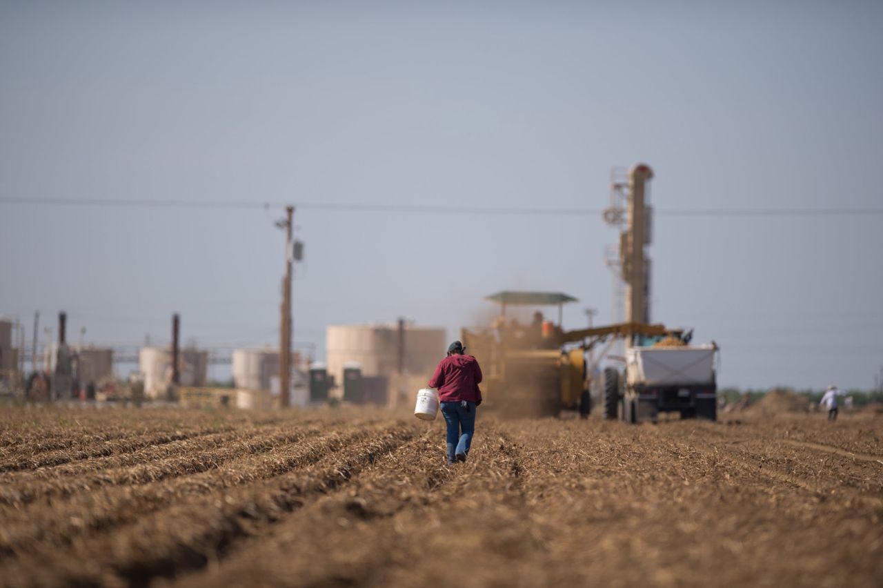 A fracking facility and its working wells serve as a backdrop to field workers picking potatoes in Shafter, California, in June 2013.