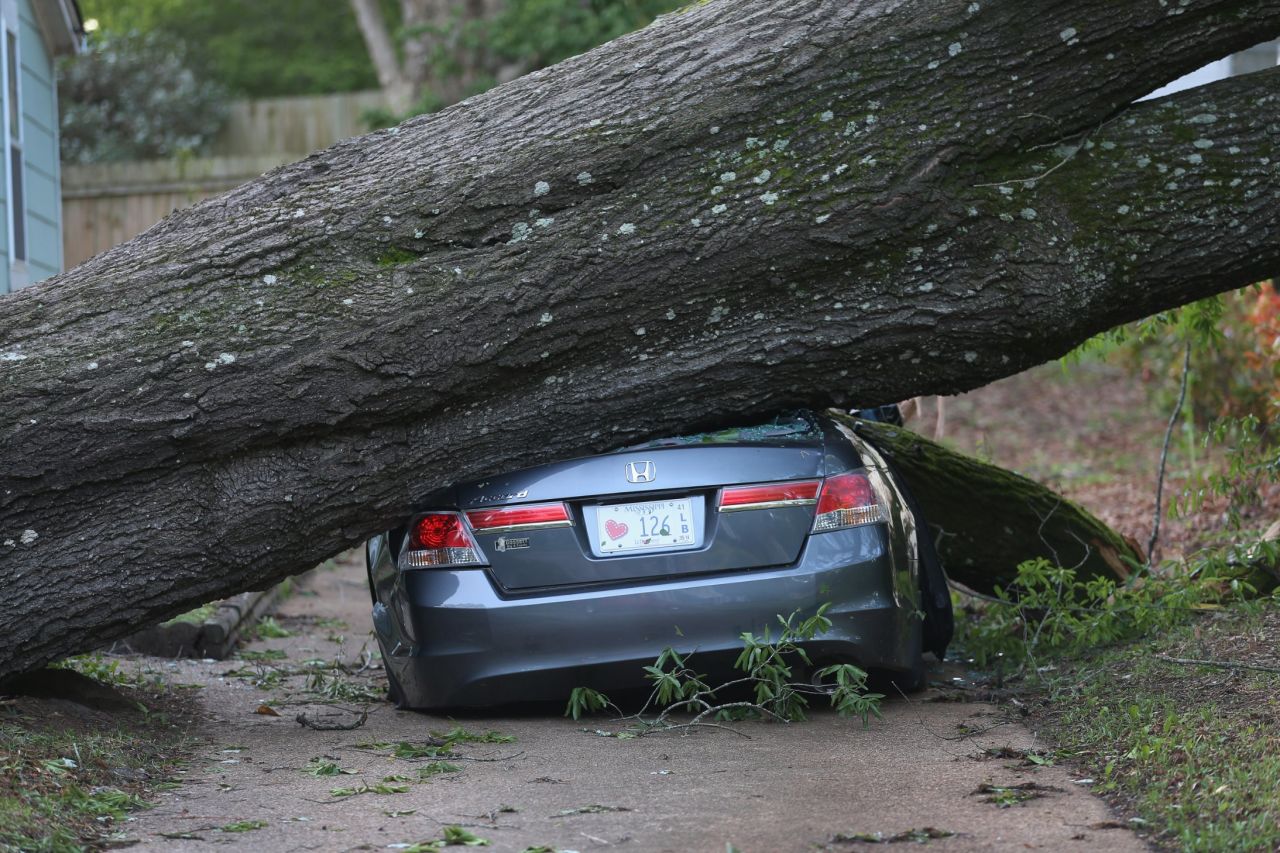 A large tree smashes a car in Tupelo, Mississippi, on April 30.