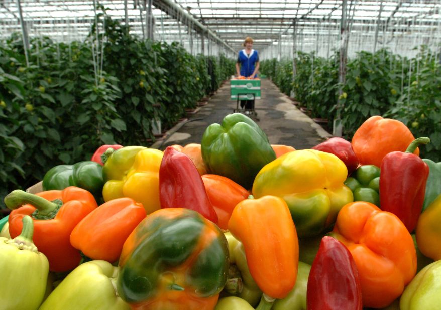 Sweet bell peppers round out the list of 2018's dirty dozen. Almost 90% of sweet bell pepper samples contained residual pesticides. This vegetable may contain fewer pesticides than other foods on the list, but the pesticides tend to be more toxic to human health, the group says.